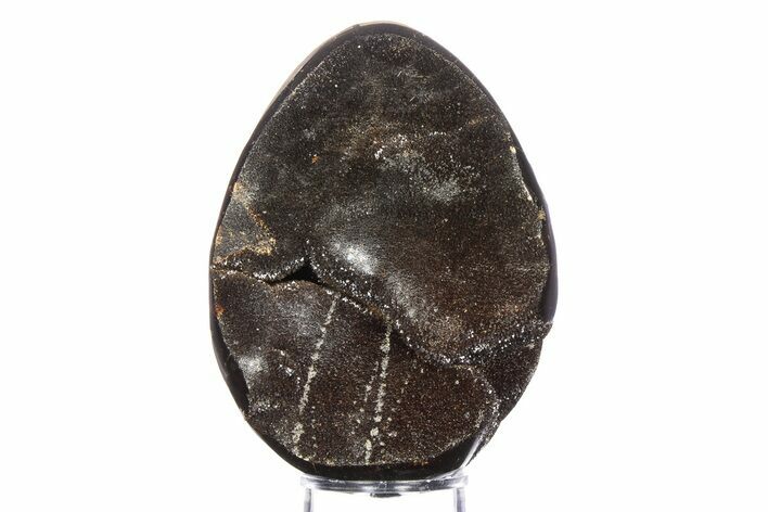 Septarian Dragon Egg Geode - Sparkly Black Crystals #383842